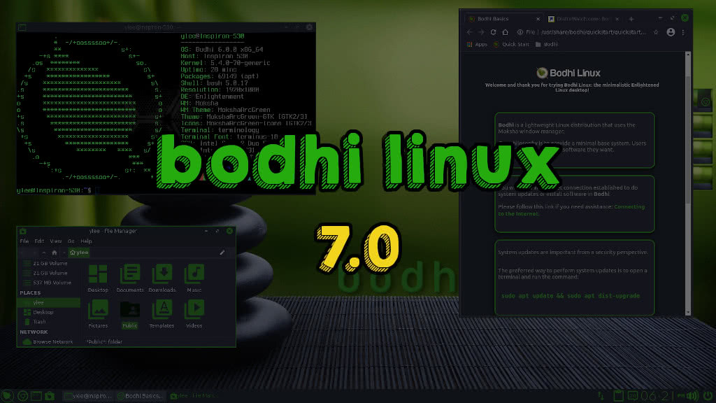 Bodhi Linux
