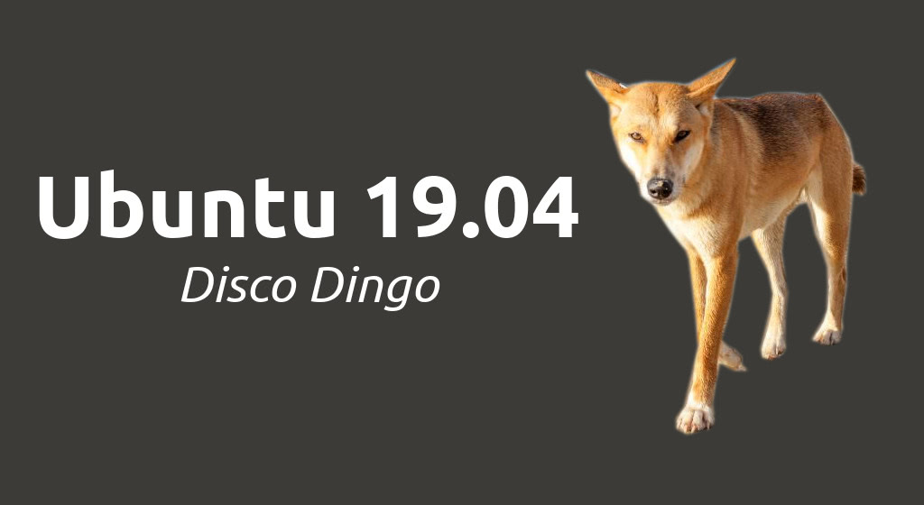 Ubuntu Disco Dingo banner