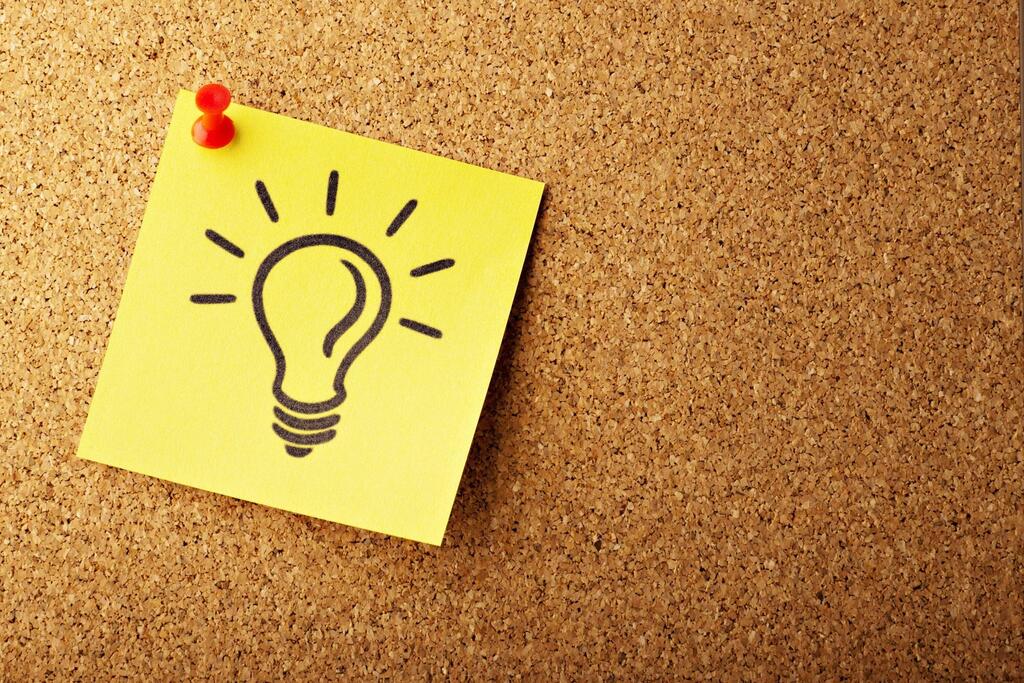 Feedback & revision
