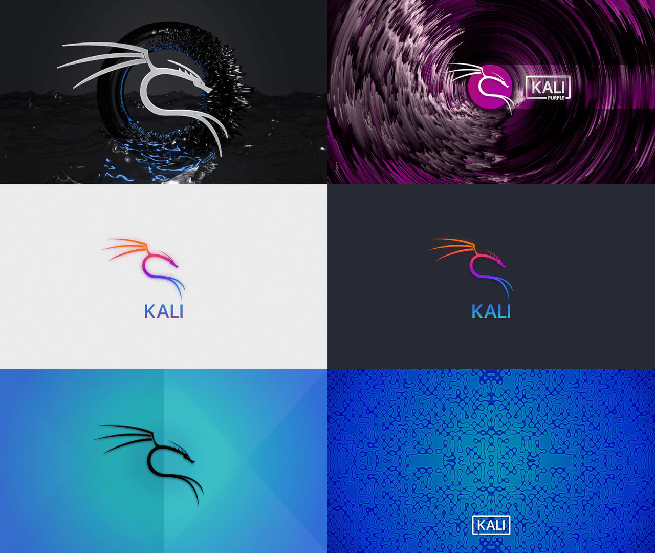 Kali Linux 2024.1 wallpapers