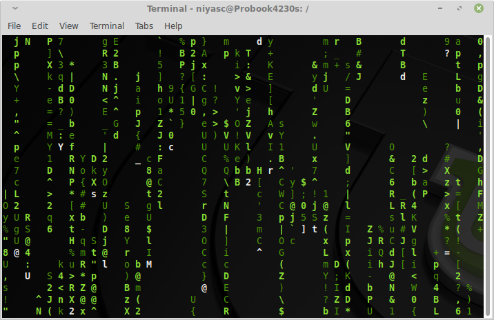 Linux Terminal Preview
