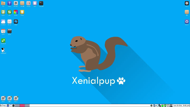 A preview of Xenialpup