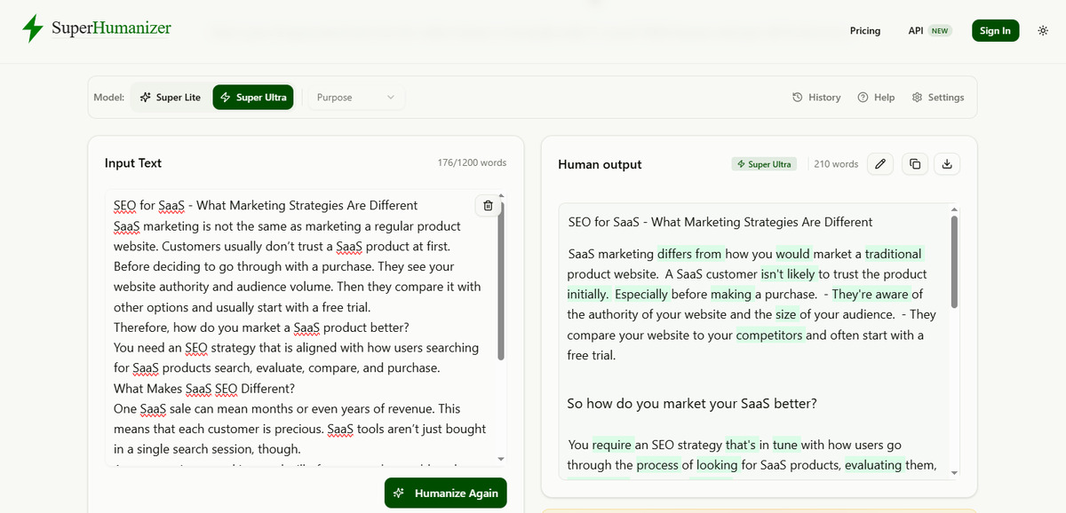 A screenshot showing an AI text humanizer tool being used on a blog draft