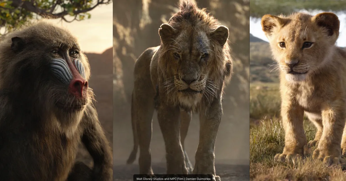 ZBrush